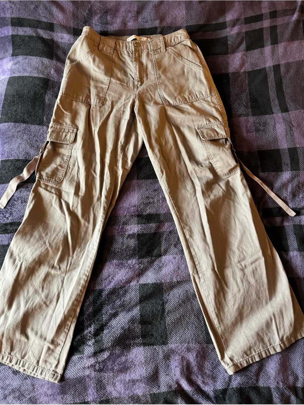 Tinseltown Cargo Pants in Khaki